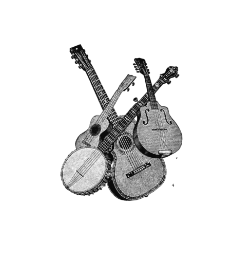 Leer banjo, mandoline of ukulele spelen