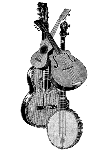 Lessen in gitaar, banjo, mandoline en ukulele