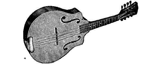 Mandoline groot Roots Academy POORTER.BE